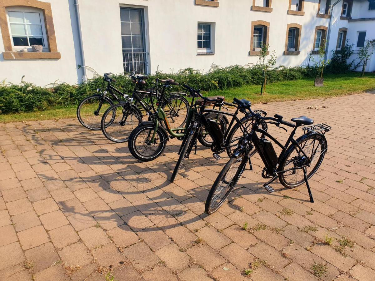 Grosse Bauernhaus Ferienwohnungen Bis 100Qm Mit E-Bike-Verleih Bad Rothenfelde Exterior photo